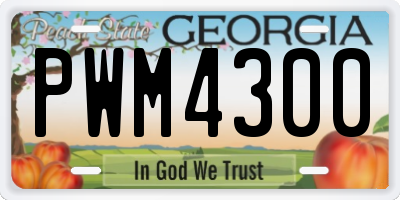 GA license plate PWM4300