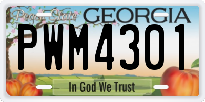 GA license plate PWM4301