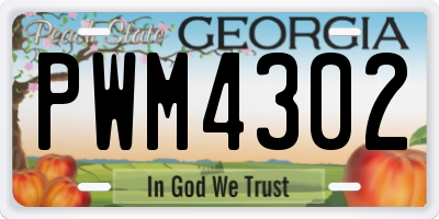 GA license plate PWM4302