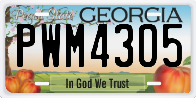 GA license plate PWM4305