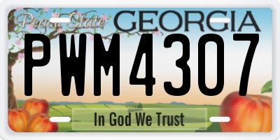 GA license plate PWM4307