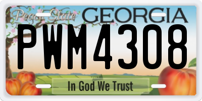 GA license plate PWM4308