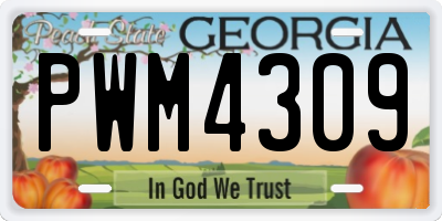 GA license plate PWM4309