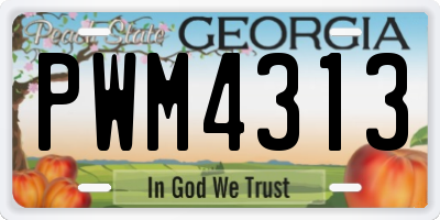 GA license plate PWM4313