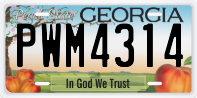GA license plate PWM4314