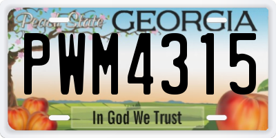 GA license plate PWM4315