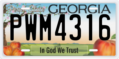 GA license plate PWM4316