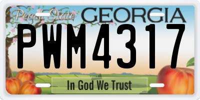 GA license plate PWM4317