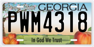 GA license plate PWM4318