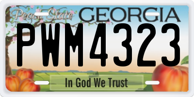 GA license plate PWM4323