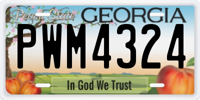 GA license plate PWM4324