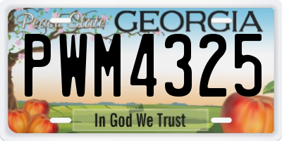 GA license plate PWM4325