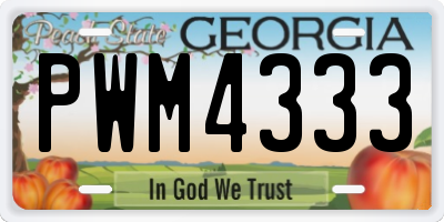 GA license plate PWM4333