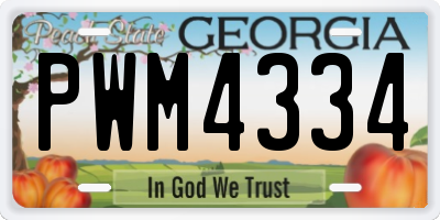 GA license plate PWM4334