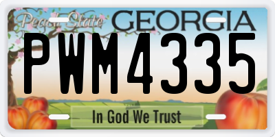 GA license plate PWM4335