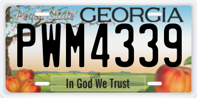 GA license plate PWM4339