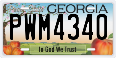 GA license plate PWM4340