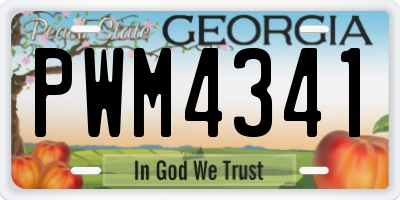 GA license plate PWM4341