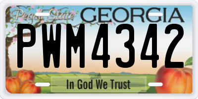 GA license plate PWM4342