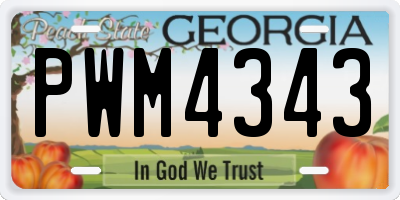 GA license plate PWM4343
