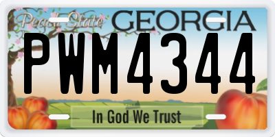 GA license plate PWM4344