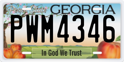 GA license plate PWM4346