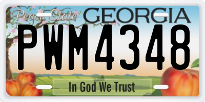 GA license plate PWM4348