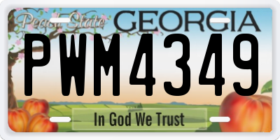 GA license plate PWM4349