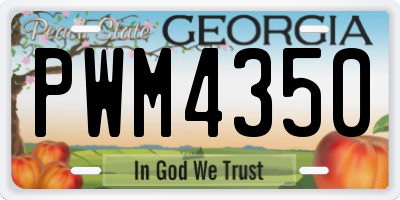 GA license plate PWM4350