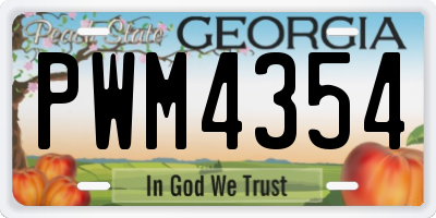 GA license plate PWM4354