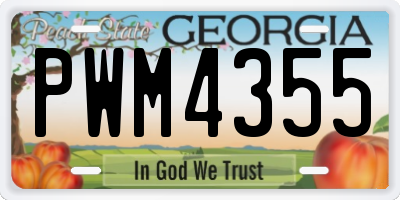 GA license plate PWM4355