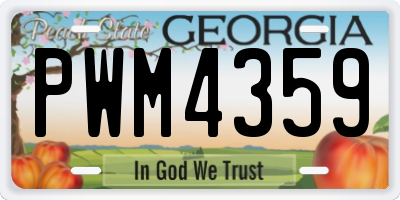 GA license plate PWM4359