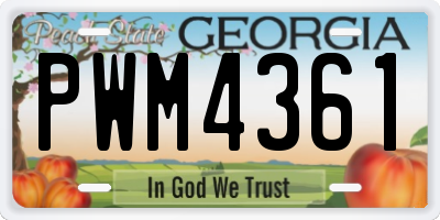 GA license plate PWM4361