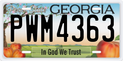 GA license plate PWM4363