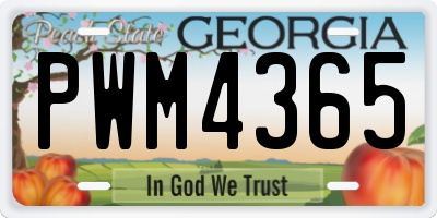 GA license plate PWM4365