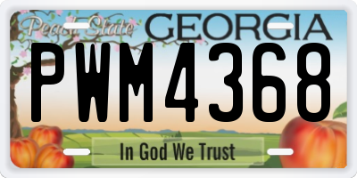 GA license plate PWM4368