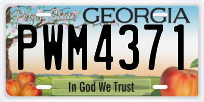 GA license plate PWM4371