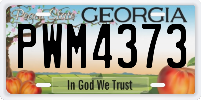 GA license plate PWM4373