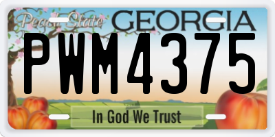 GA license plate PWM4375
