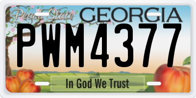 GA license plate PWM4377