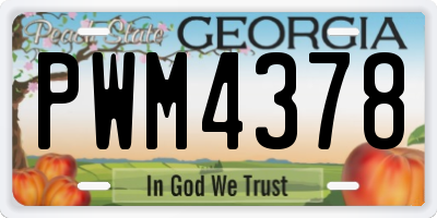 GA license plate PWM4378