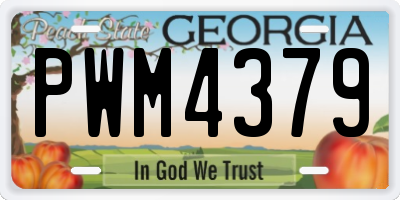 GA license plate PWM4379