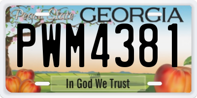 GA license plate PWM4381