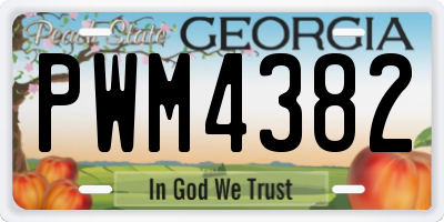 GA license plate PWM4382