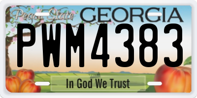 GA license plate PWM4383
