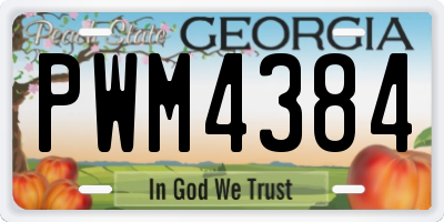 GA license plate PWM4384