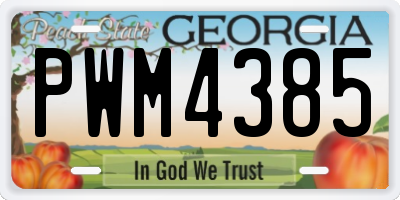 GA license plate PWM4385