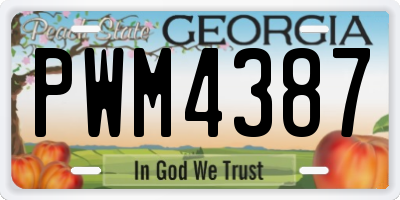 GA license plate PWM4387