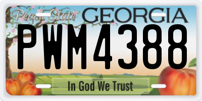 GA license plate PWM4388