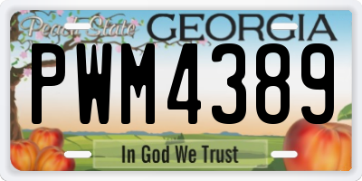 GA license plate PWM4389